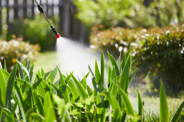 24/7 Emergency Termite Control experts in Kingston, TN