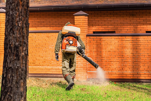 Top rated local Termite Control specialists in Kingston, TN